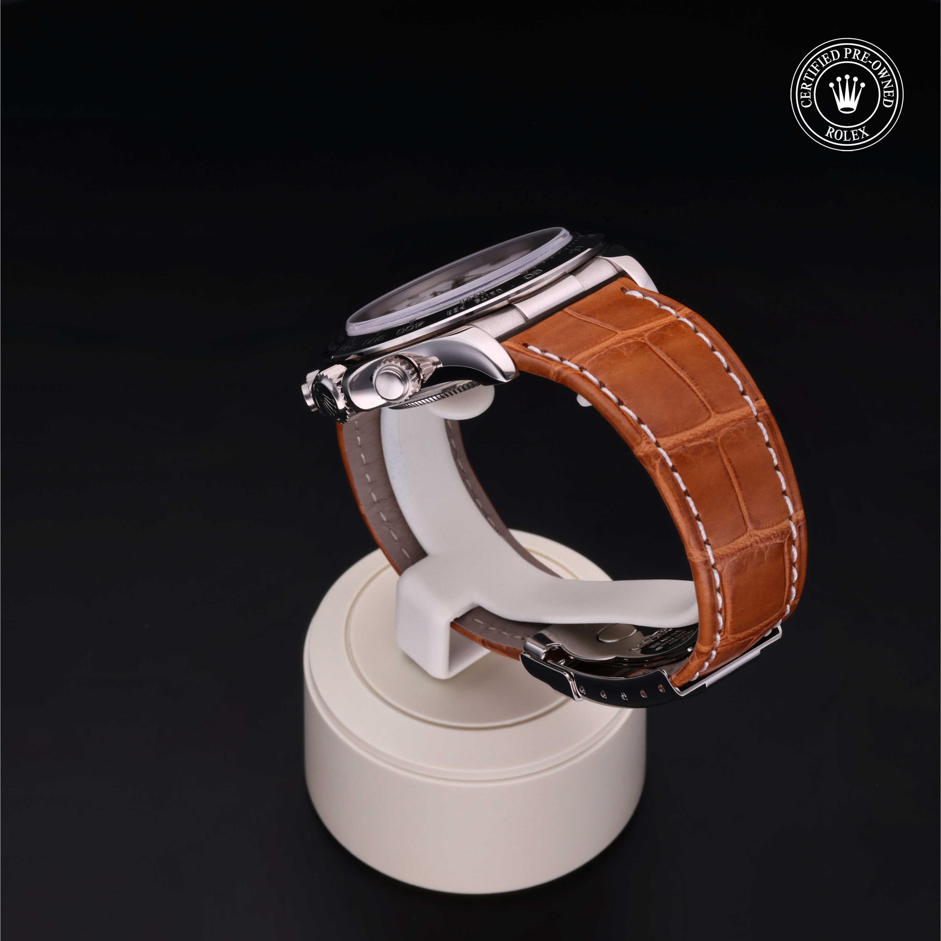 Rolex 宇宙计型迪通拿 360 view 16519